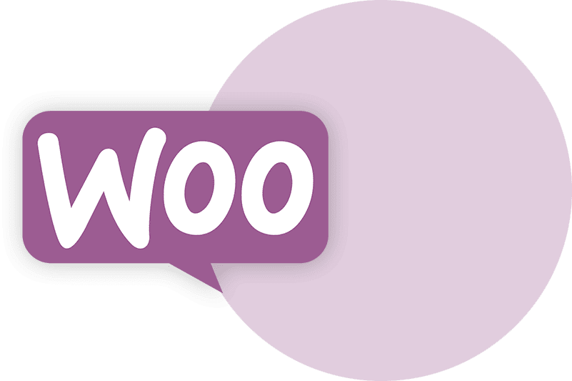 Wp Woocommerce Dialogflow